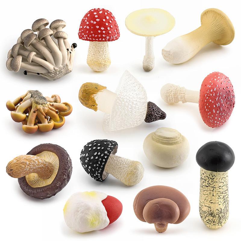 Realistic Mushroom Set Featuring Edible Shiitake Enoki Matsutake Poisonous Umbrella Decorative Models Ideal For Home Display