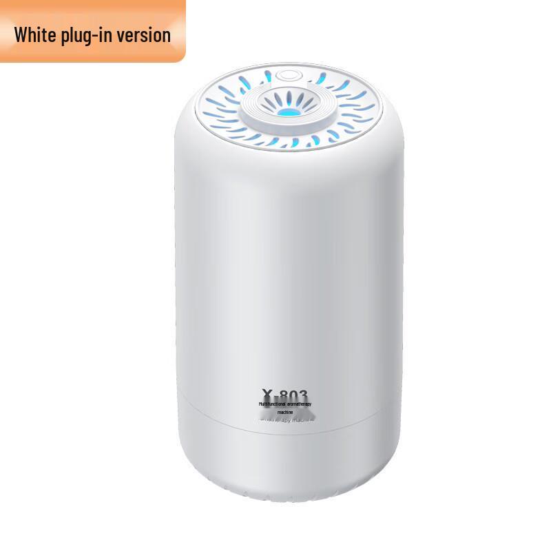 Car Aroma Diffuser & Humidifier