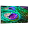 GLASS PROTECTIVE PLATE FOR STOVE 80x52 PEN