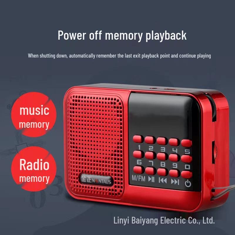 Jinzheng S61 Portable FM Radio & Speaker with Card-Playing Function for High Volume Audio
