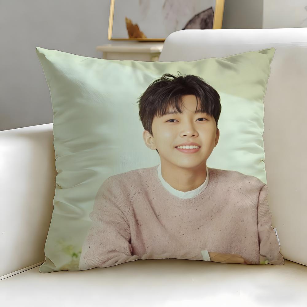 popular singer Lim Young Woong Cushion Cover Soft & Easy-Wash Pillow Case – Versatile for Couch, Bed, Travel and Office