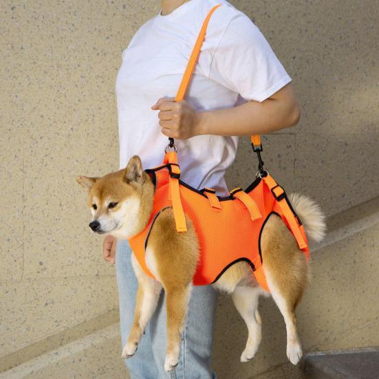 Nastavitelný zvedací postroj pro psa Pohodlný zvedací pás pro psa Prodyšná podpůrná smyčka pro staré, postižené, poranění kloubů, artritidu, procházku psa