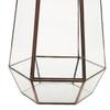 Clear Glass Geometric Terrarium Tabletop Planter Irregular Plant Box Succulent Holder for Indoor Garden
