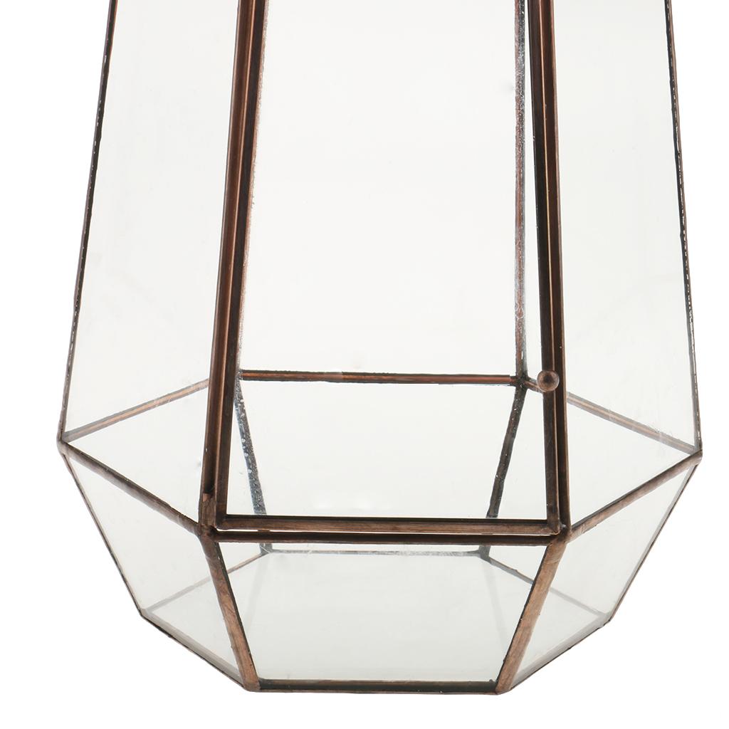 Clear Glass Geometric Terrarium Tabletop Planter Irregular Plant Box Succulent Holder for Indoor Garden