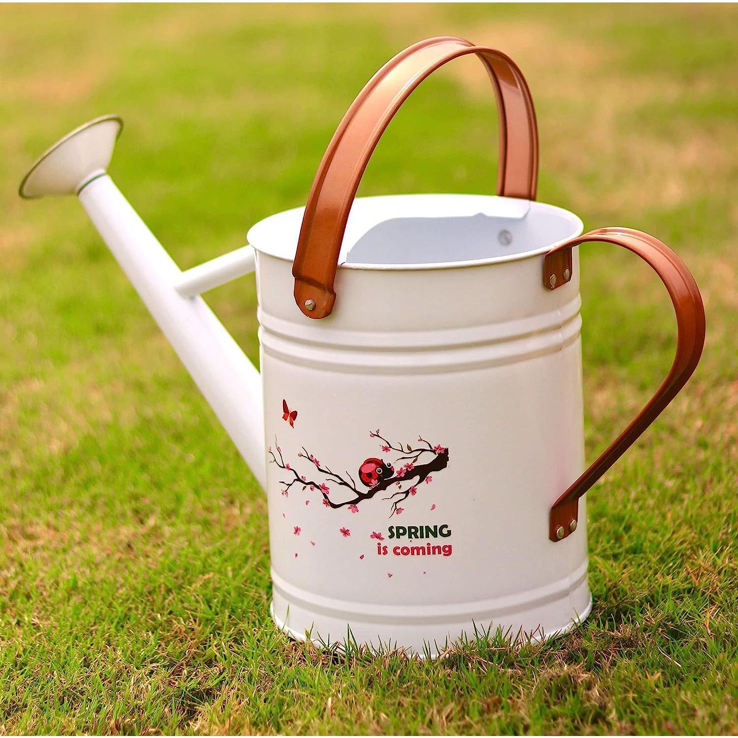 

Outdoor plant sprayer, cute pattern, metal, plant sprayer, galvanized steel, gardening sprayer, garden kettle, leak proof