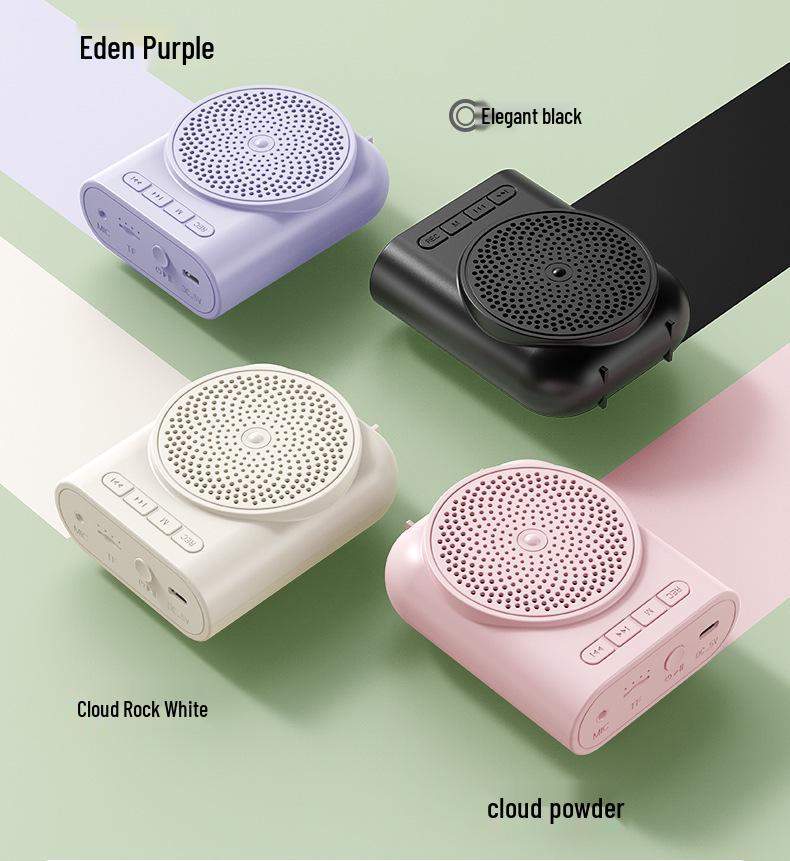 Little Bee Amplifier: Teacher's Headset Microphone for Classroom Lectures