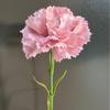 Simulated Flowers With High-Quality Texture And Moisturizing Effect Carnations For Weddings Fake Flowers For Weddings Home Decor