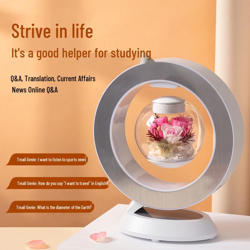 Preserved Rose Magnetic Levitation Lamp