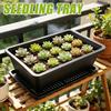 1/5Pcs Succulent Tray Sprouter Trays Green Plant Fruits Vegetables Nursery Plate Grower Flowerpot Home Garden Container Supplies