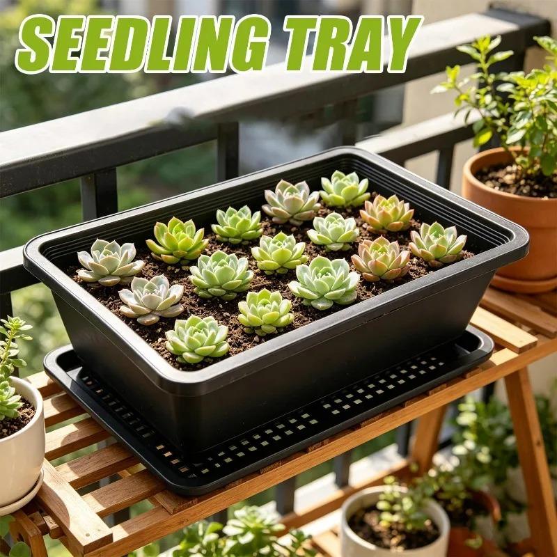 1/5Pcs Succulent Tray Sprouter Trays Green Plant Fruits Vegetables Nursery Plate Grower Flowerpot Home Garden Container Supplies