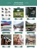 In-Stock Outdoor Hanging Swing Chair: Waterproof Wrought Iron Reclining Rocker for Balcony, Courtyard, or Garden