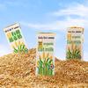 Daily Box Organic Oat Milk 10-Pack