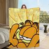 Cartoon Cute G-Garfield-ES Blanket Flannel warm comfort soft plush blanket For Picnic Beds Sofas Homes And Bedrooms