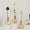 1 Set Of Gold Wrought Iron Metal Vase Hydroponic Container Test Tube Vase Living Room Illustration Decoration Flower Decor