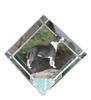 Bull Terrier, Bully – Crystal Cube with a Photo, Photo of a Horse In Crystal |