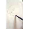 Used Waterman Ballpoint Pen Blue Marble