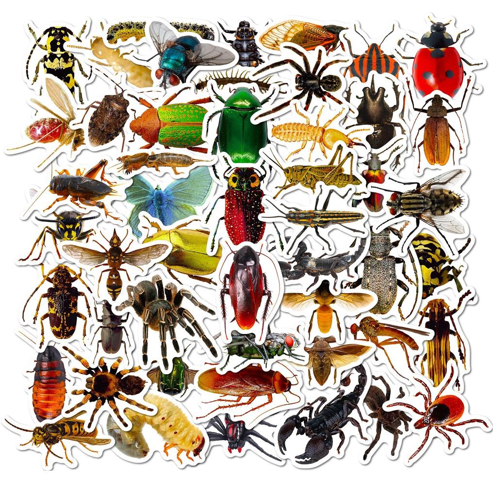 50 Transparent Realistic Insect Decals Butterfly Spider Do-It-Yourself Suitcase Mobile Phone Case Refrigerator Decals
