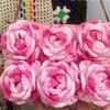 5Rolls Soft Dyed Acrylic Yarn 50grams Per Roll for Knitting Sweater Scarves Hat Blankets Baby Clothes Home Decoration