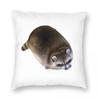 Fat Raccoon Pillowcase Polyester Linen Velvet Printed Zip Decorative Sofa Seater Cushion Cover
