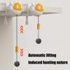 Bouncing Toy Cats and Felines Fun Exercise and Entertainment Cats Toy
