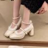 Autumn and Winter Footwear Plus Size Comfortable High-heeled Square-toe Thick-heeled Velvet Single Shoes Women's Shoes
