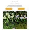 Solar Lights Garden Patio Decorative Lights Lawn Lights Garden Dandelion Small Night Light Landscape Ground Insert Color Light