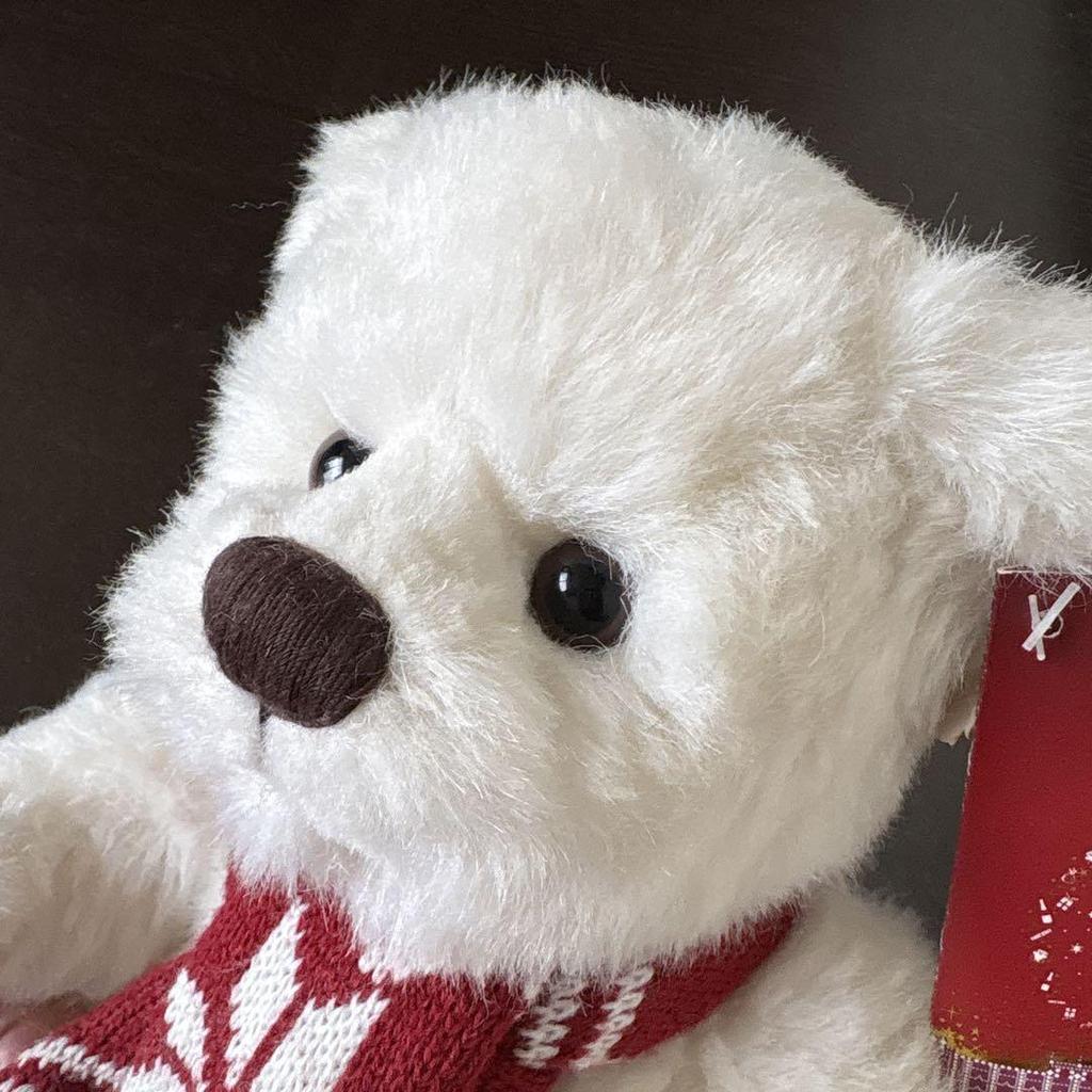 [USED] Harrods Teddy Bear Plush Toy
