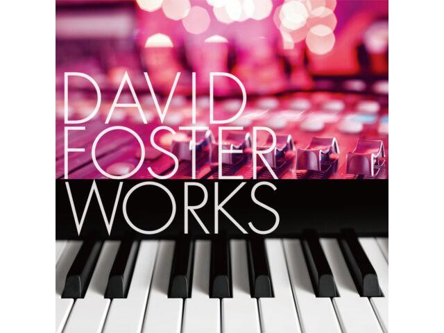 

Various Artists David Foster Works CD Standard Edition WPCR-17895 1970-1980 NEW