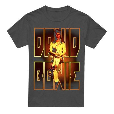 David Bowie Unisex Adult Perched T-Shirt