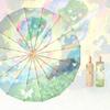 New Advanced Mist Rose 16 Bone Color Glue Umbrella Folding Sun Rain Dual Use Women'S Parasol Sun Protection And Uv Protection