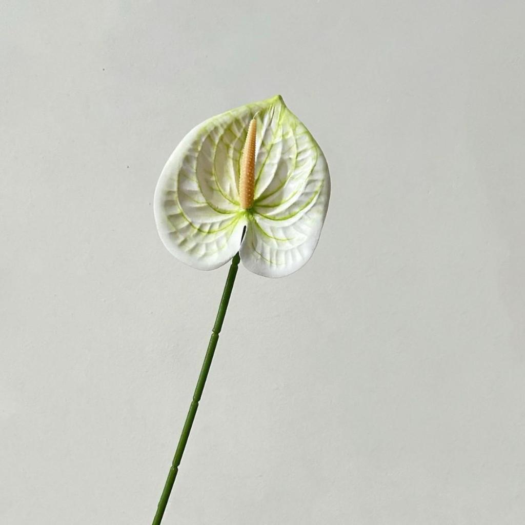 Fiore Artificiale Anthurium Rosso Flamingo Stampato in 3D per Matrimoni e Arredamento Casa