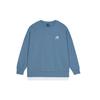 New Balance Logo Sweatshirt Asia Sizing 'Blue' Unisex AMT13345-WAB