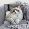 Vibrant Bohemian Style Short Plush Pillow Cover 45x45cm Charming Kitten Living Room Bedroom Decor (Pillow Insert Not Included)