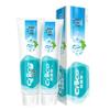 Nice Fresh Breath & Gum Care Toothpaste