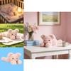Jc Smudge Pig Plush Toy With Pp Cotton Filling For Kids And Gift Giving
