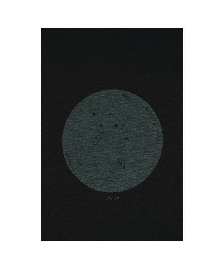 Ialtial Delphinus T-Shirt Black