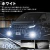 Fog Lamp Unit Type Lime and Clear Vehicle Inspection Compliant fcl. B, 2-Color Switching, Yellow, Yellow, White, H8, H11, H16, Lens, Aftermarket,