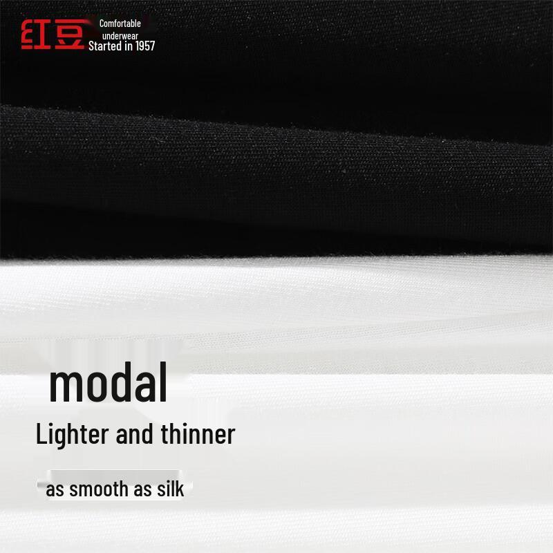 Women's Silky Modal Lace Briefs