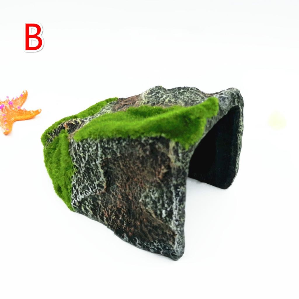 Reptilien-Box-Schildkröte, die das Nest vermeidet, Höhlenlandschaft, Spinnenschildkröte, realistische Mooshöhle, Beflockung Tur