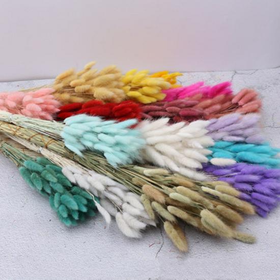 60pcs Natural Dried Lagurus Ovatus Foxtail Bouquet for Decoration
