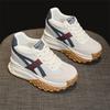 Cm Thick-soled Inner Height-increasing Dad Shoes Women's Autumn Casual Fashion Cashmere Forrest Gump Shoes Popular Sports Women's Shoes