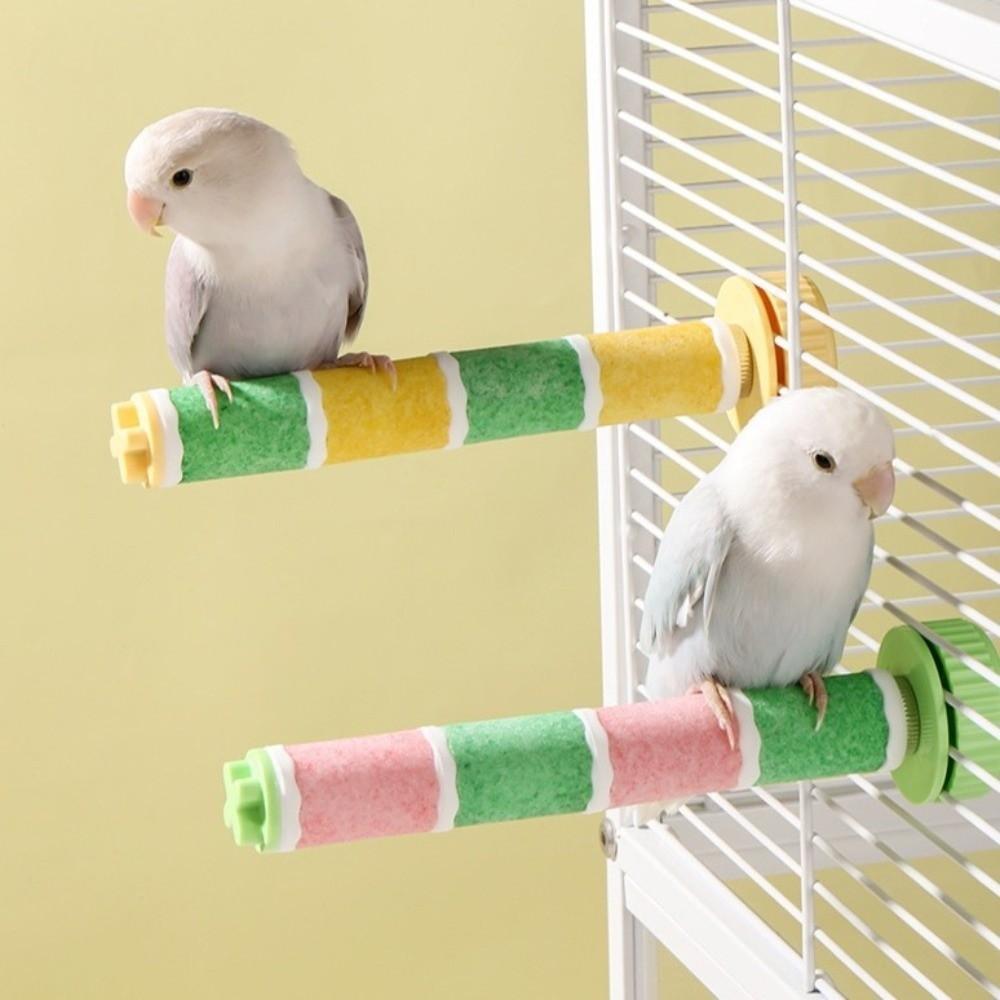 Mattiertes Papageien Sitzstangen-Ständergestell Rutschfest Verschleißfest Vogelkrallen-Schleifstab Stabiler Bissfester Papageien-Schleifständer