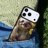 Sloth-Bear Phone Case For iPhone 17 AIR 16 Pro Max 15 14 Pro 11 12 13 Shockproof Silicone Cover