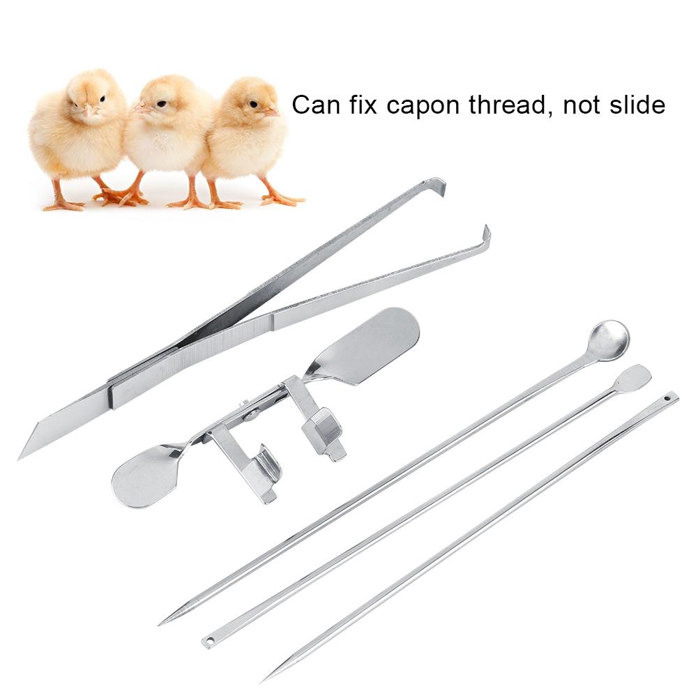 Carbon Steel Farm Livestock Breeding Chicken Hen Rooster Capon Tool Equipment Hatchery Kit