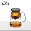 700ml Glass Teapot for Bonston, Integrated Teapot with Filter, Teapot, Premium Gift Box, Family, Camping, Gifts