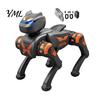 Educational Robot Dog Remote Control Toy, Voice Programmable Smart Electric Interactive STEM Toy RC Mechanical Puppy for Toddlers Boys Girls Robotic