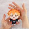 Haikyu!! [Anime Version] Hinata Shoyo Nui Pal [Plush Toy]