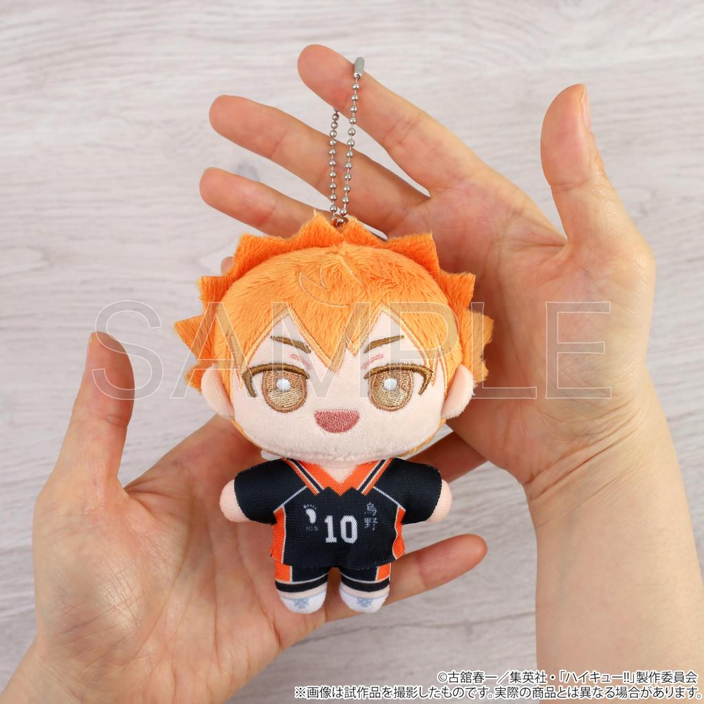 Haikyu!! [Anime Version] Hinata Shoyo Nui Pal [Plush Toy]