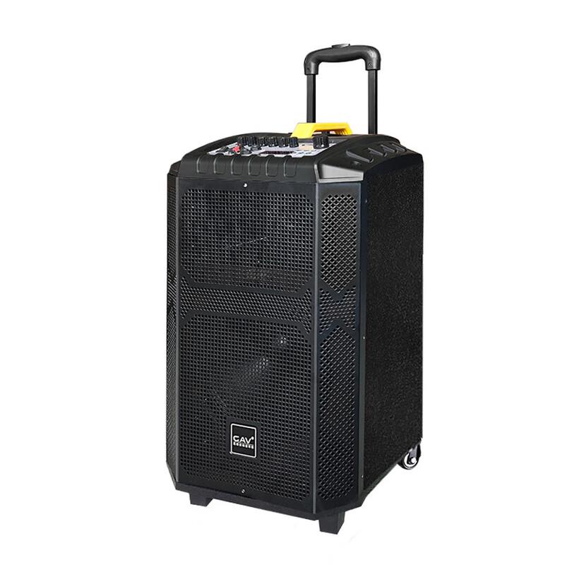 GAV K910 10-inch Portable Bluetooth Speaker with Dual Microphones