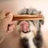 Beef penis 15 cm 4DOGS size M - 1 piece